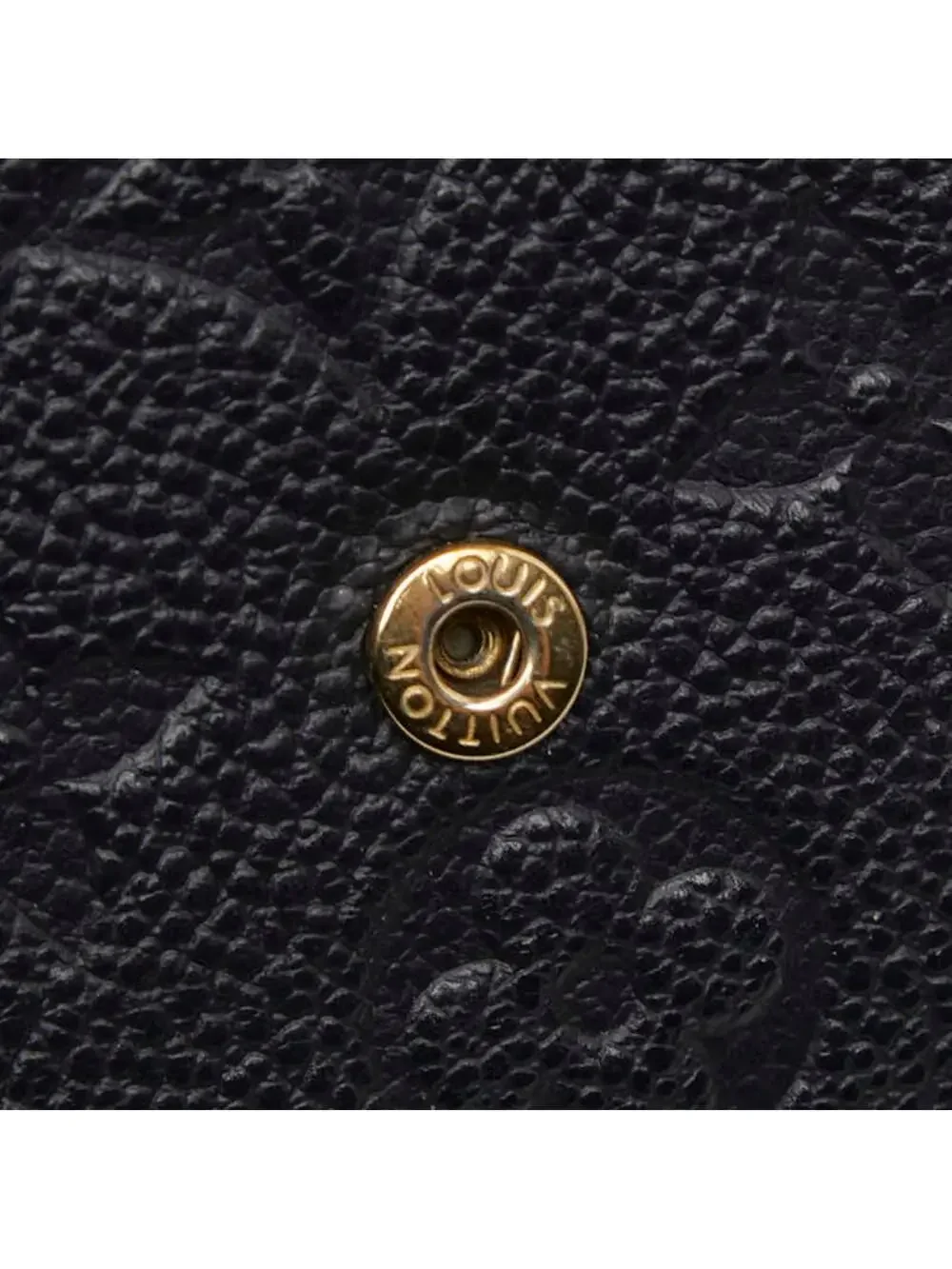 Louis Vuitton Felicie Pochette #309648L11B